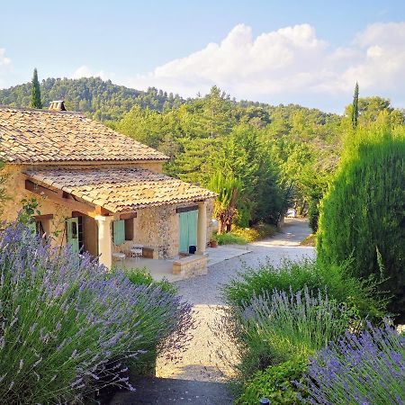 Le Jas Des Cannebieres Villeneuve  Exteriér fotografie