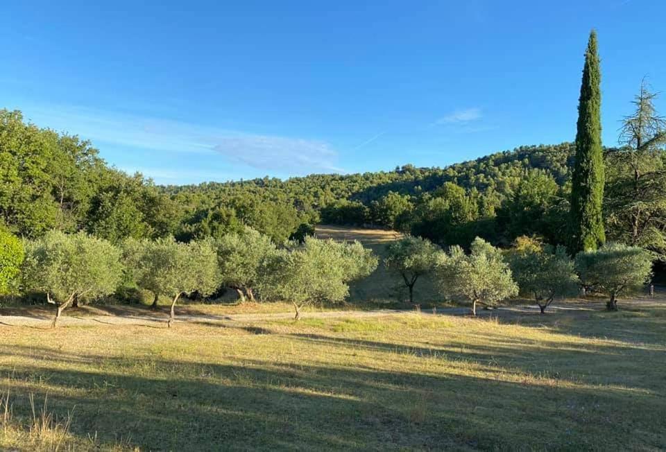 Le Jas Des Cannebieres Villeneuve  Exteriér fotografie