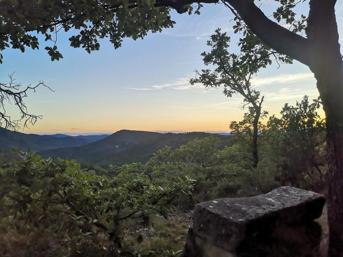 Le Jas Des Cannebieres Villeneuve  Exteriér fotografie